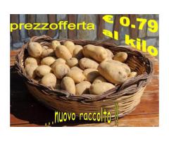 Offerta Patate calabresi della Sila €0.79kg