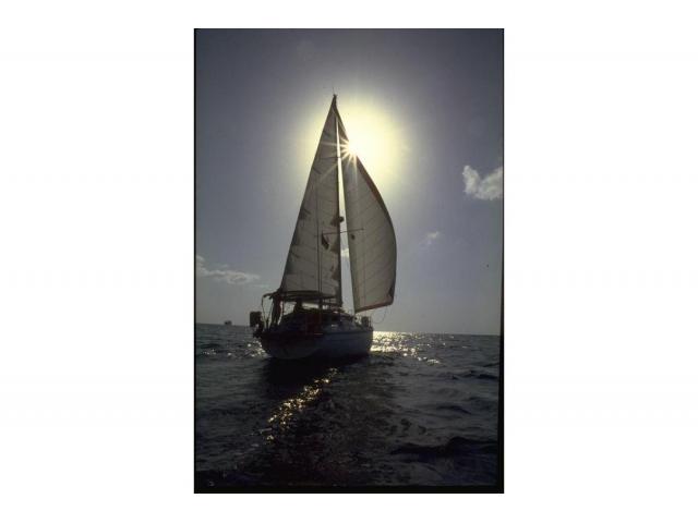 Vacanze a vela e catamarano Caraibi